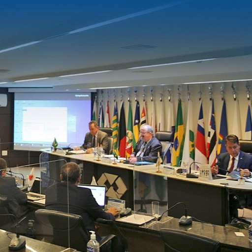 Ações da profissão são temas das reuniões plenárias