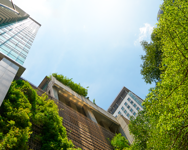 CFA redobra ações para tornar cidades mais sustentáveis até 2030